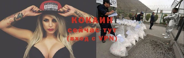 ГАЛЛЮЦИНОГЕННЫЕ ГРИБЫ Беломорск