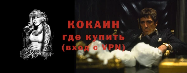 ГАЛЛЮЦИНОГЕННЫЕ ГРИБЫ Беломорск