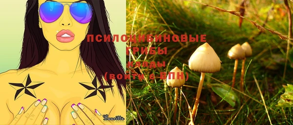 метамфетамин Богородицк